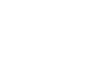 logo_brandsventure