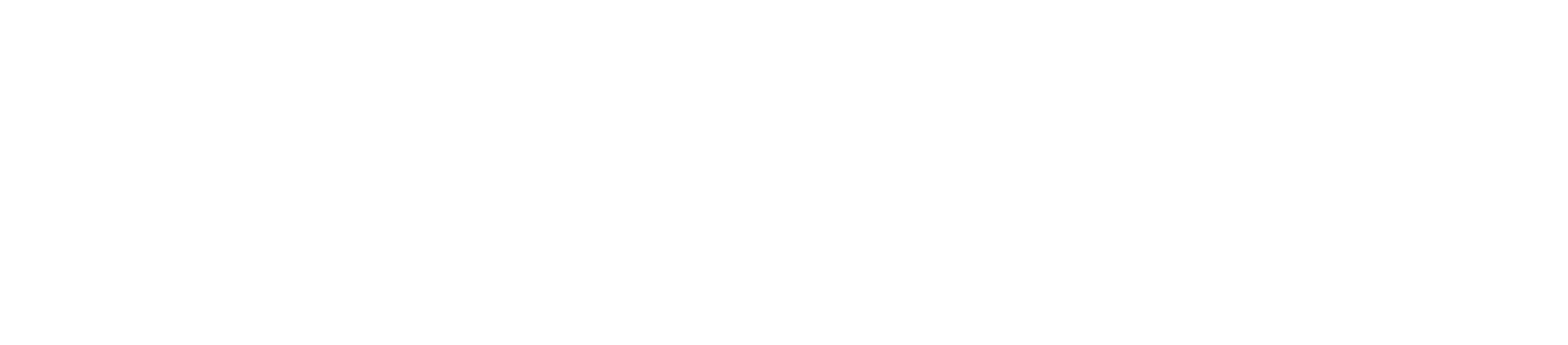 Flexipol logo-2